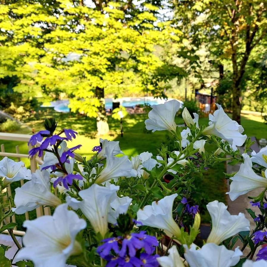 Villa Giuliana B&B Scarperia Extérieur photo